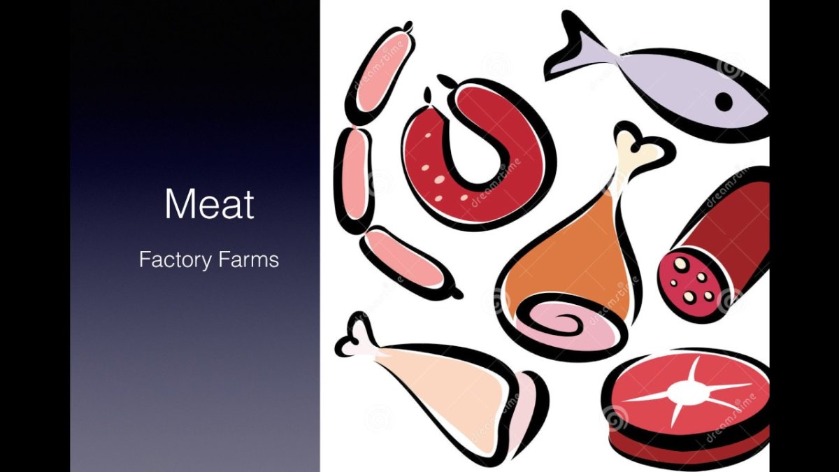 Рисунки мясных и рыбных продуктов