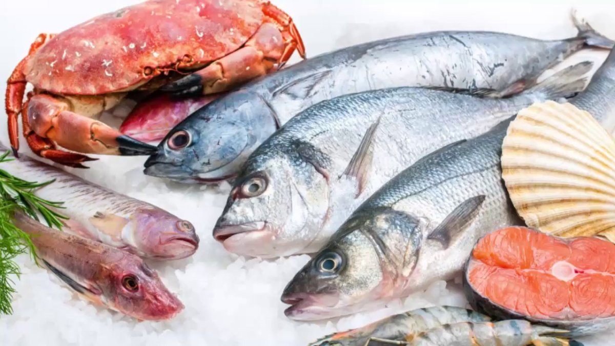 Красная рыба на белом фоне