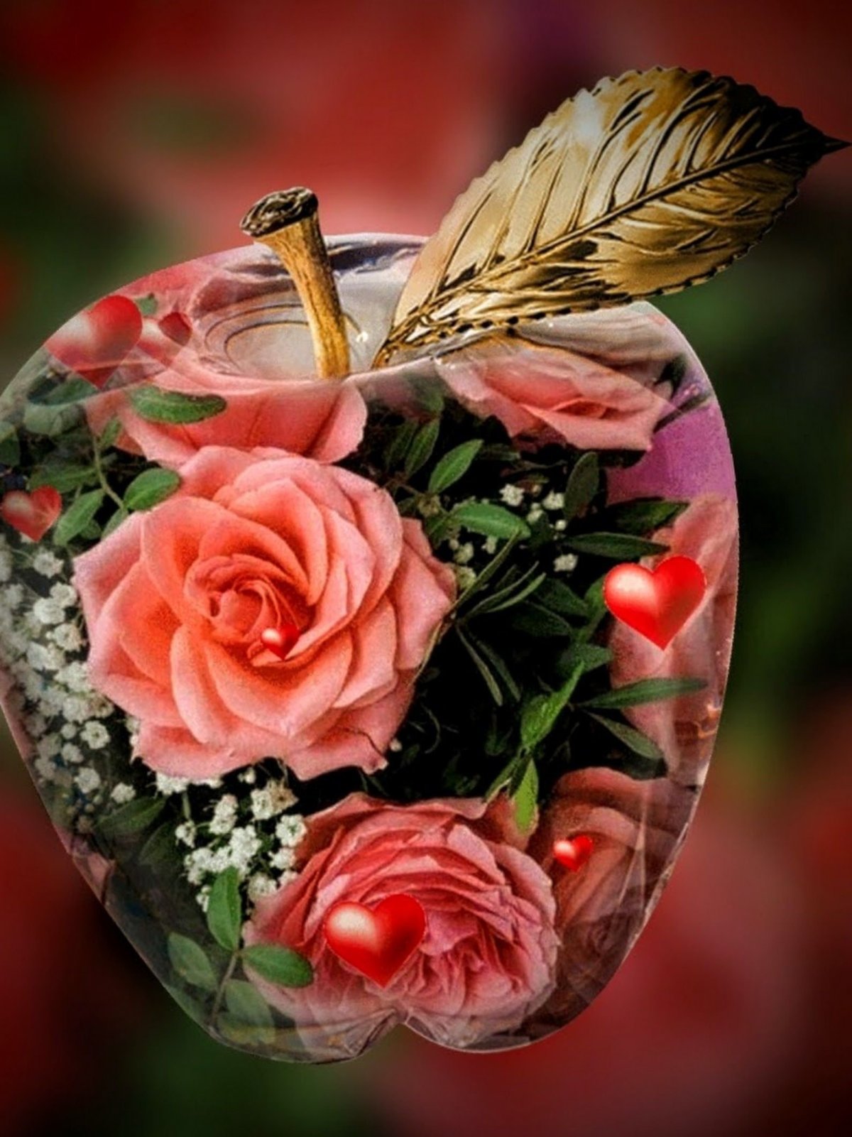 Вечерние розы