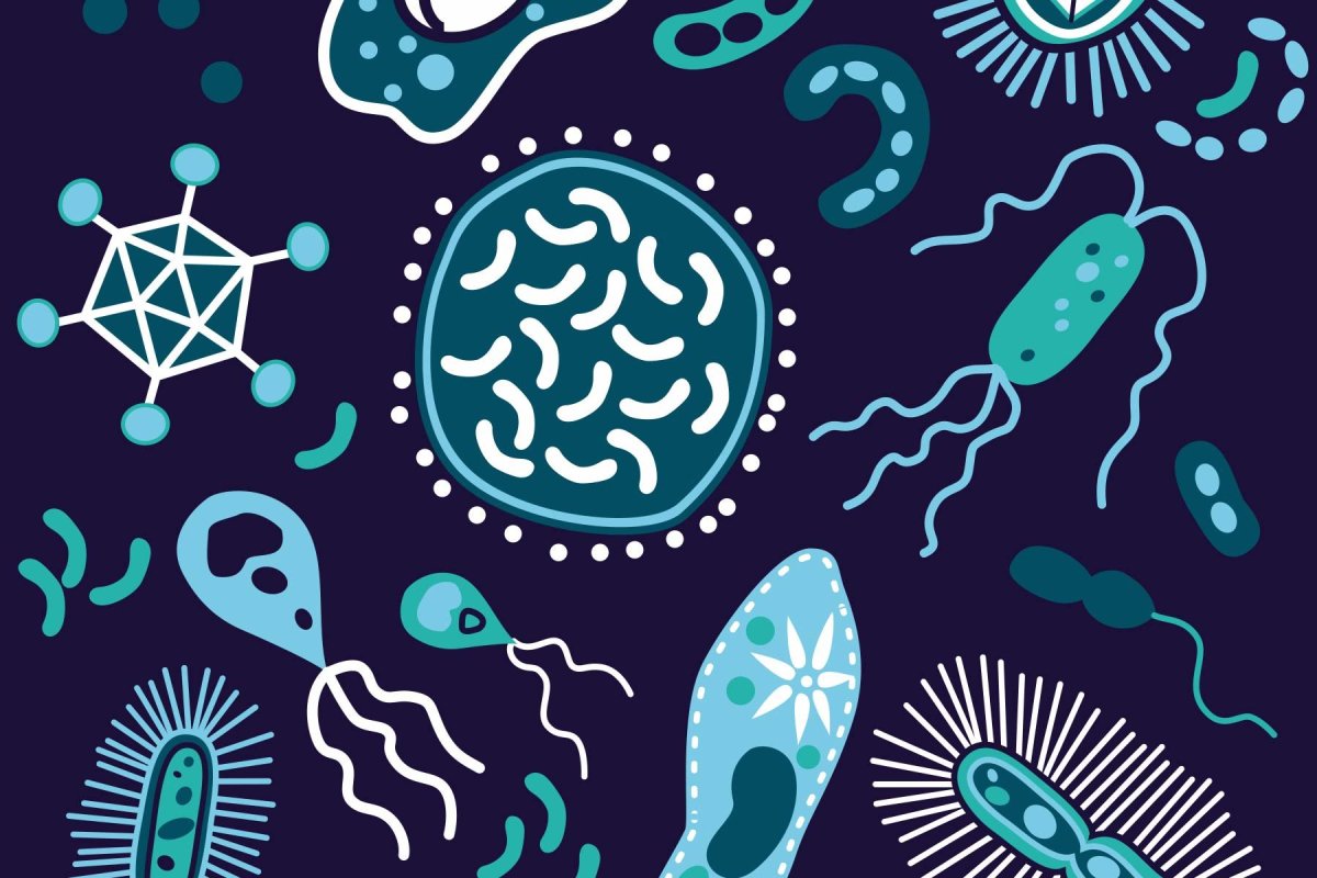 Бактерии обои