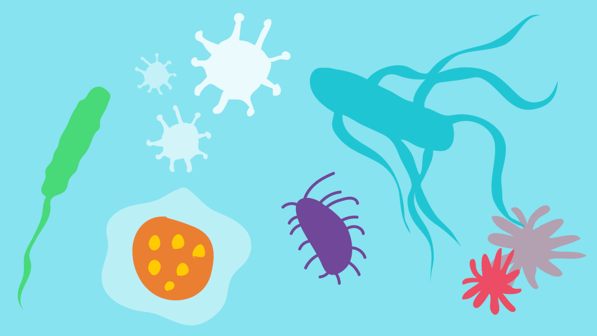 Добрые бактерии