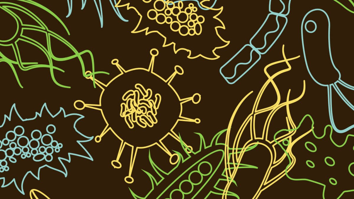 Текстура бактерии