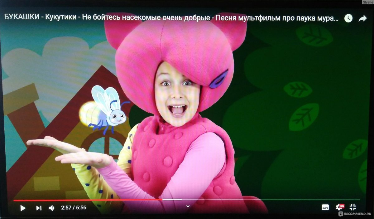 Кукутики насекомые