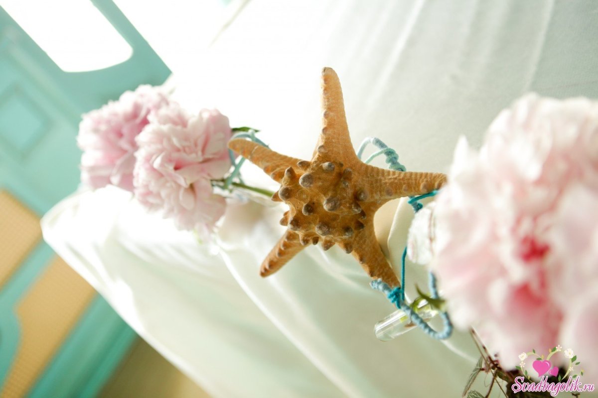 Фон кораллы свадьба