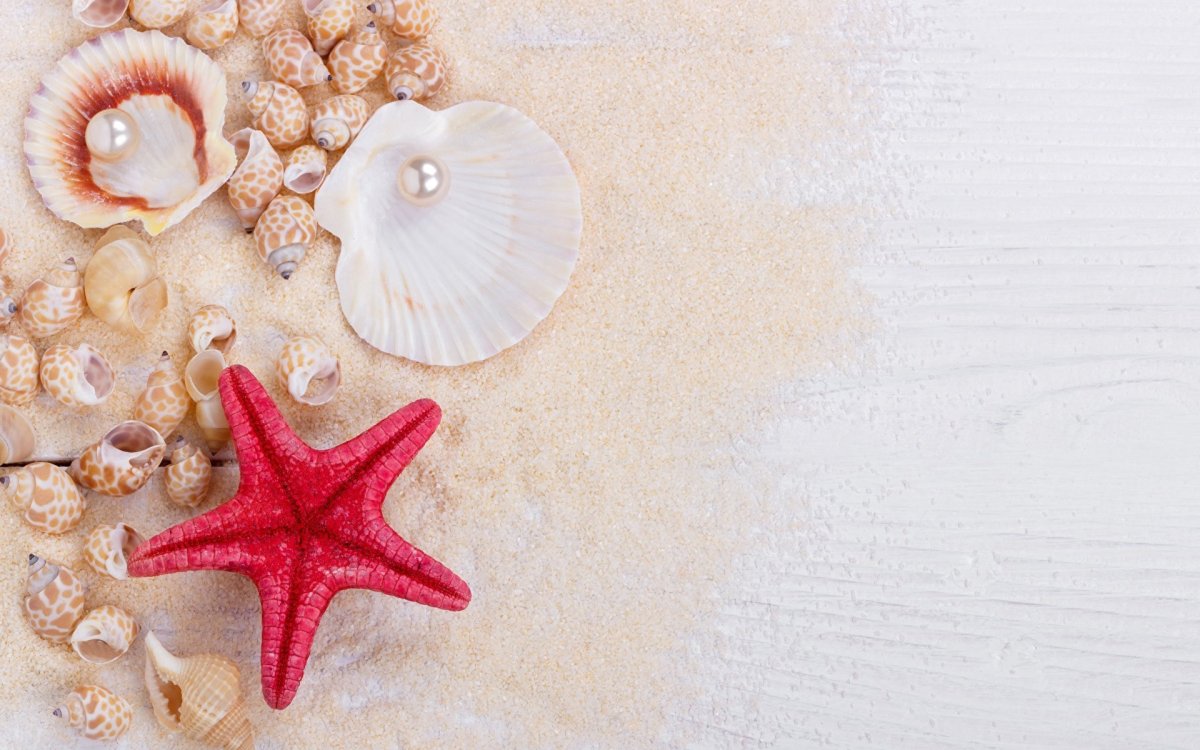 Свадьба 24 года нашей семье