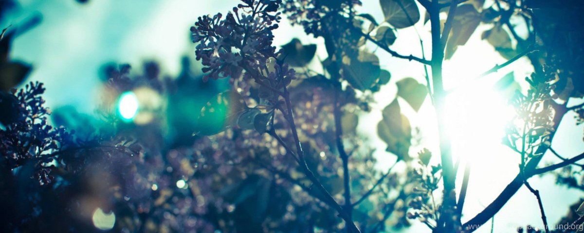 Красивые обложки для профиля