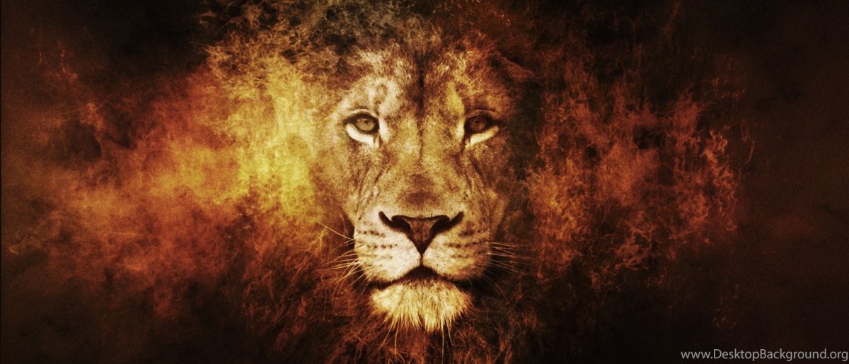 Огненный Лев на черном фоне
