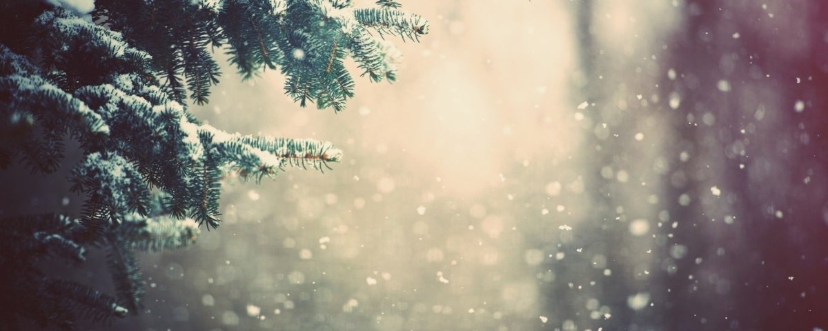 Новогодняя шапка для твиттера