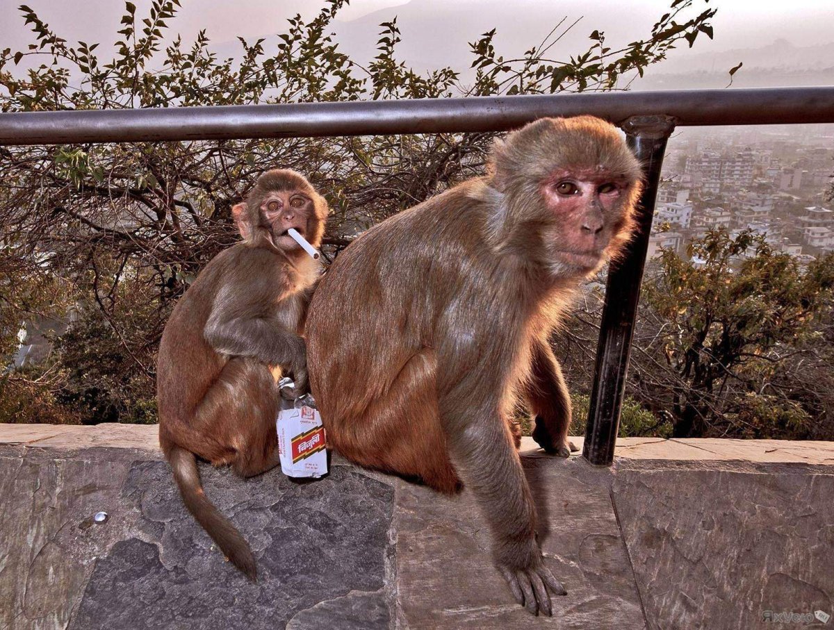 Суббота фото приколы