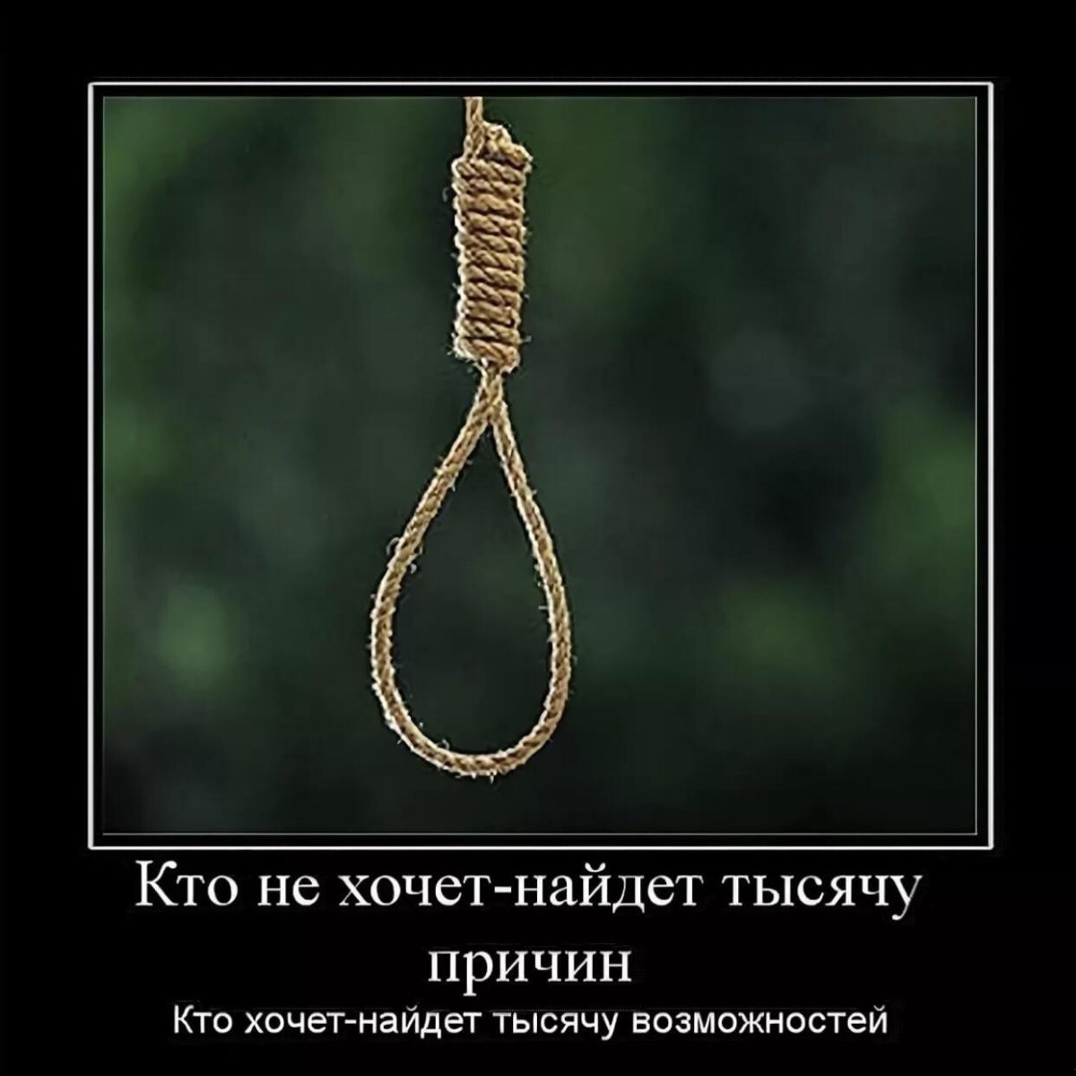 Радуга прикол