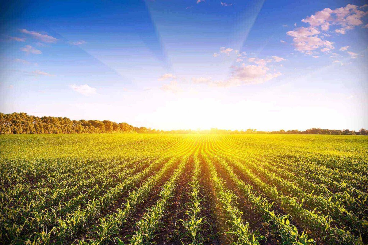 Сельское хозяйство силуэт