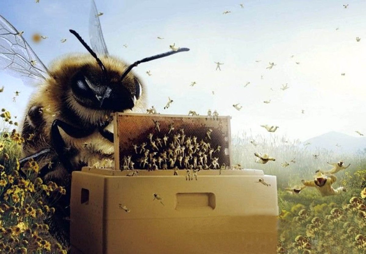 Смешная пчела