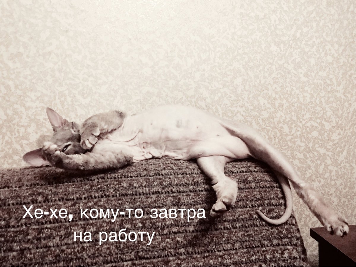 Открытки кому то завтра на работу