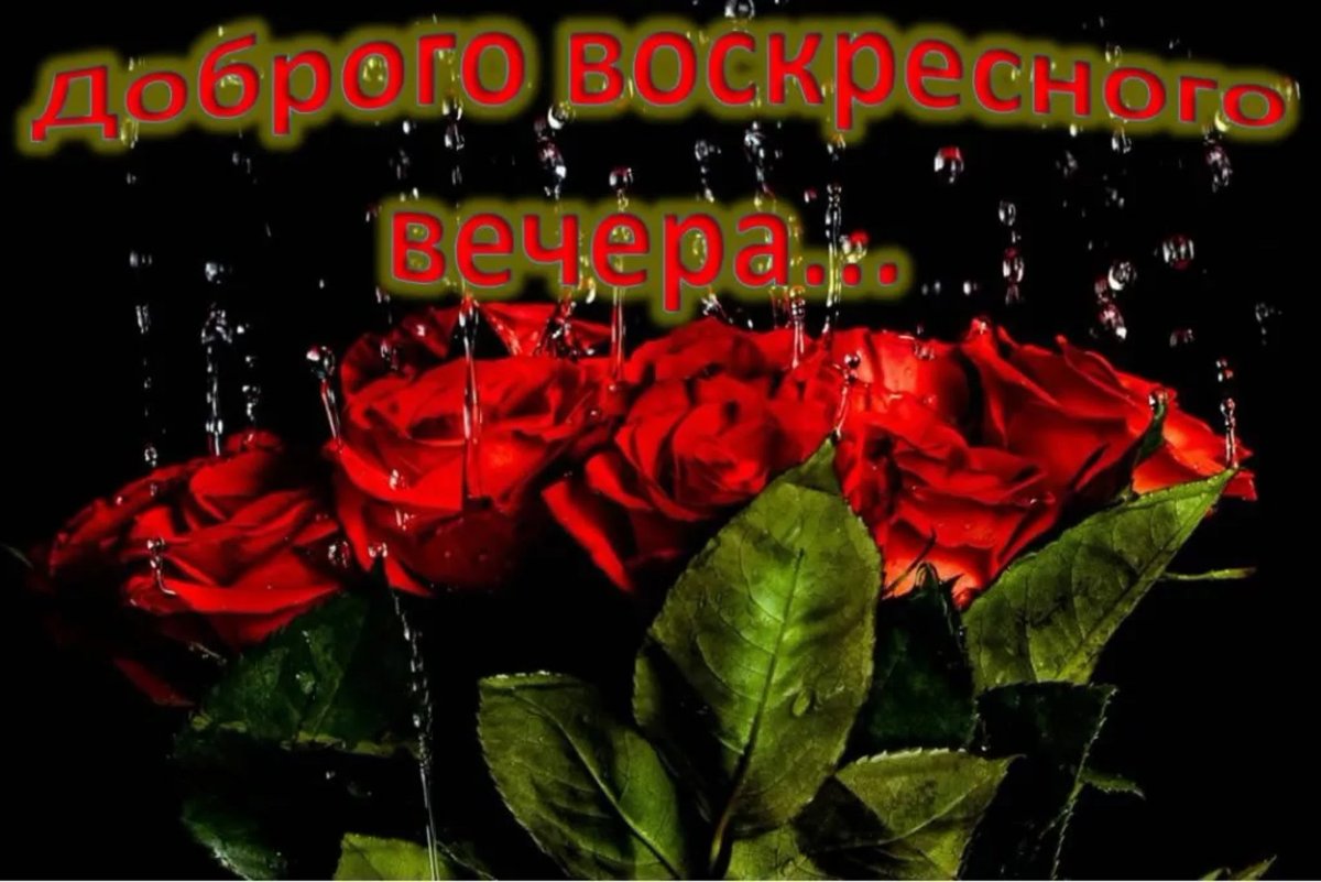 Доброго Тихого вечера