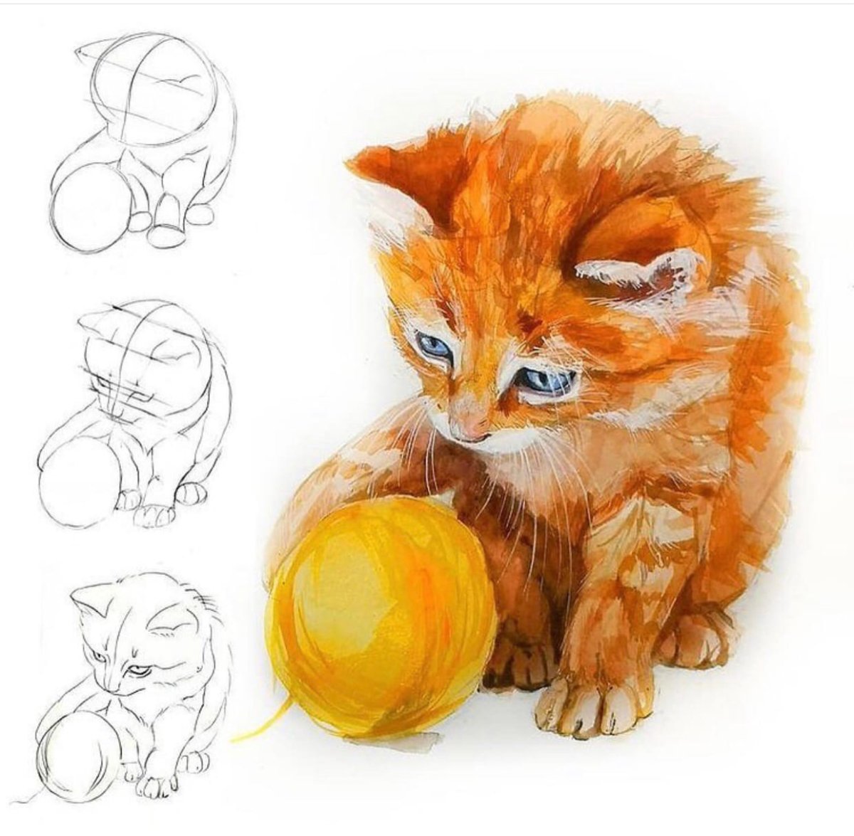 Рыжий кот рисование с натуры