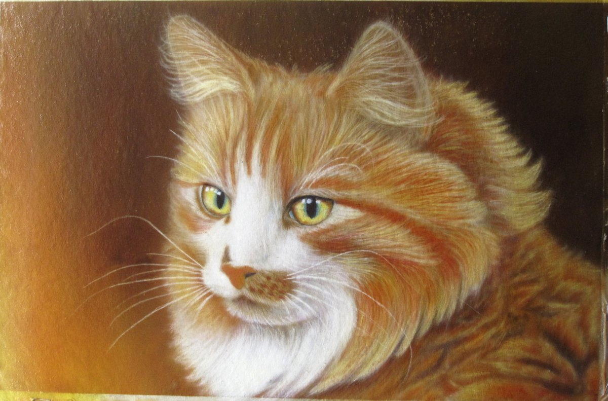 Рыжий кот нарисованный