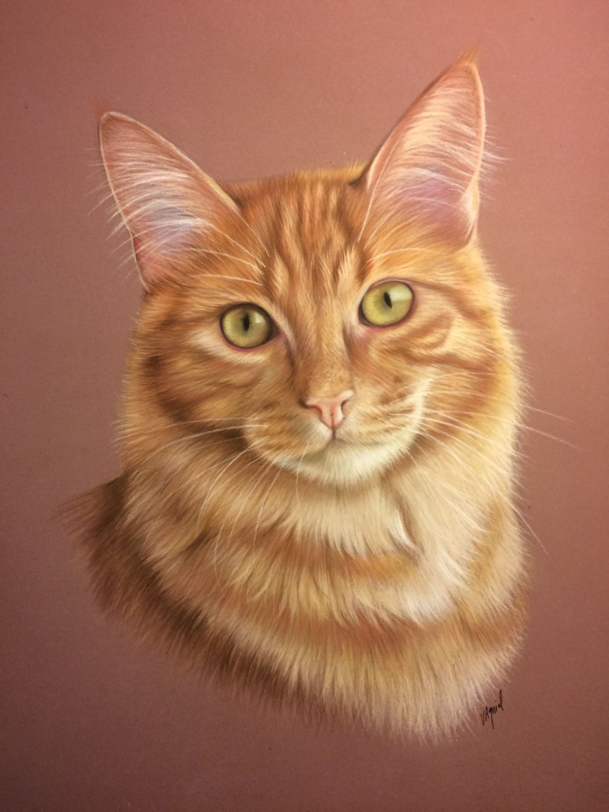 Портрет кошки