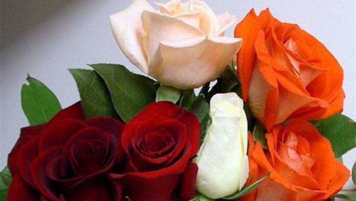 Мишель с днем рождения