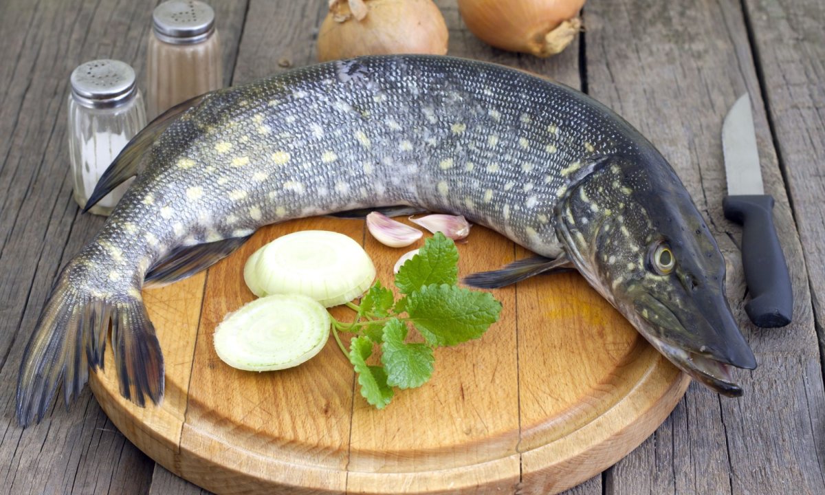 Красивая щука