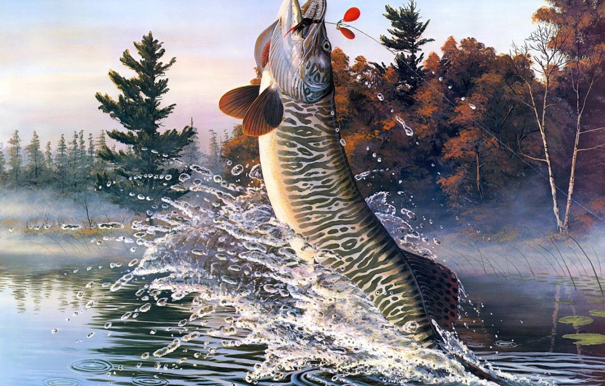 Красивая щука