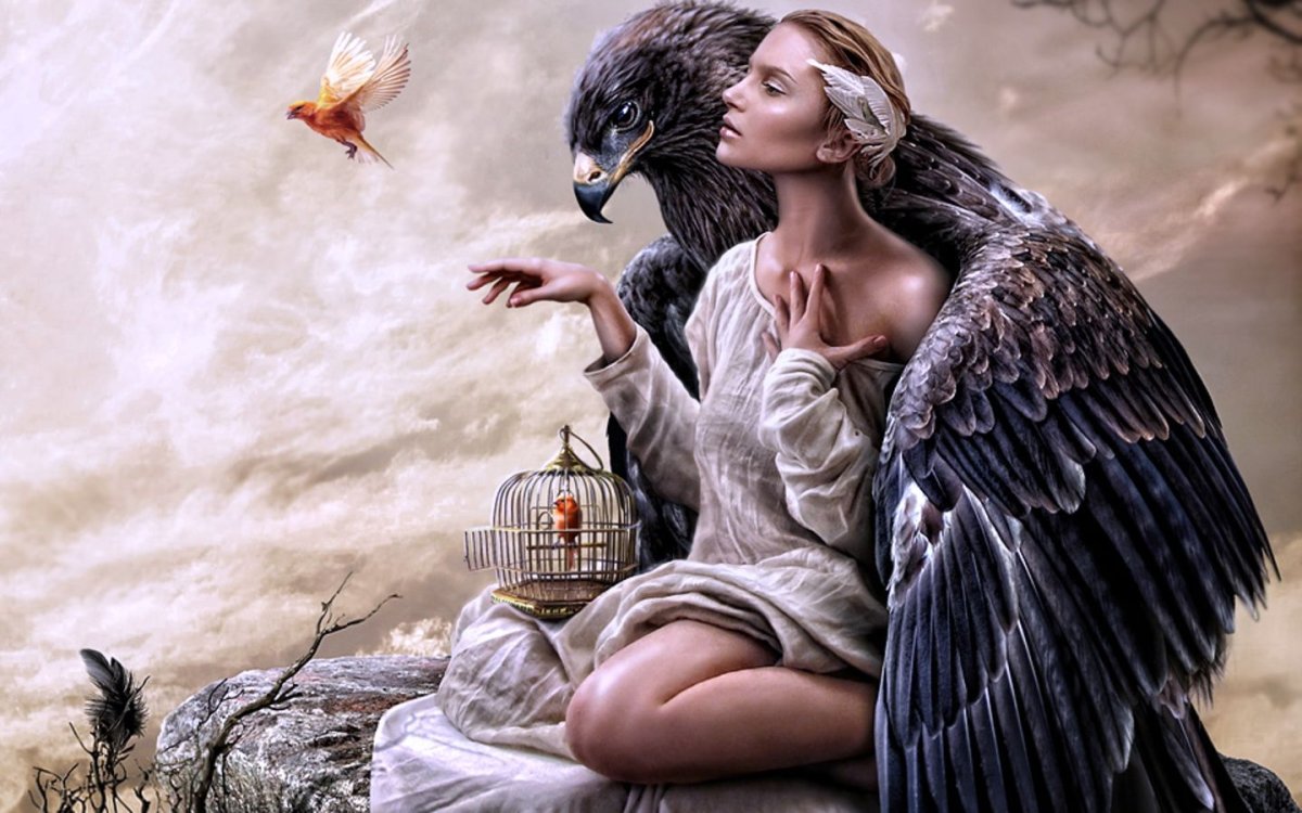 Девушка птица фэнтези