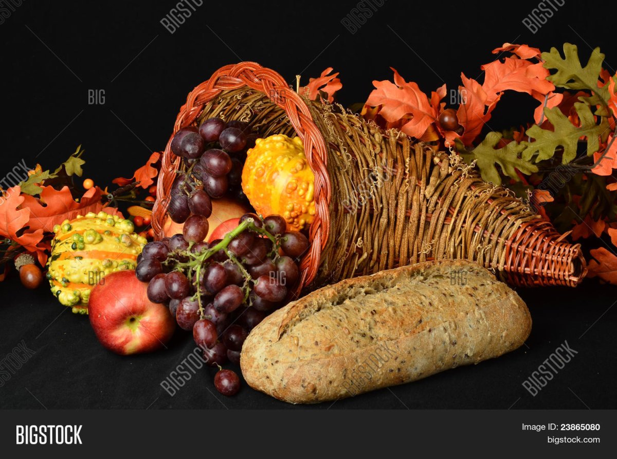 Праздник урожая Рог изобилия