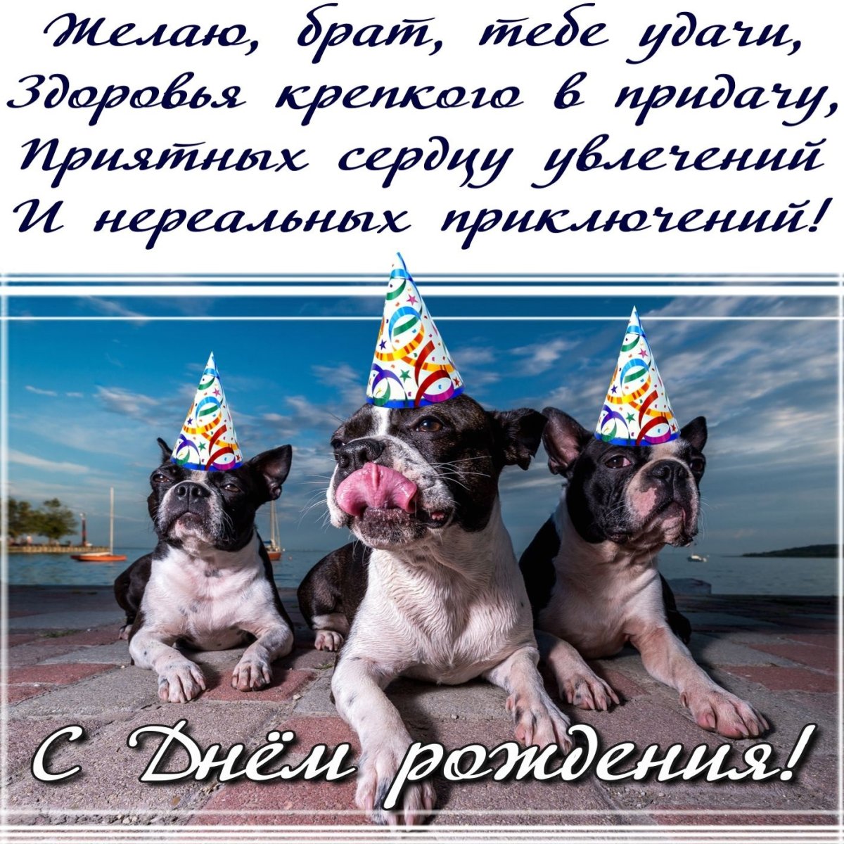 С днем рождения биатика