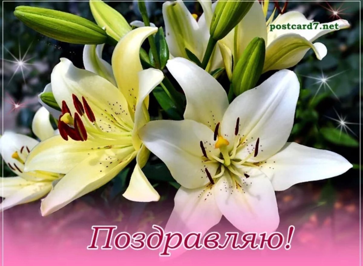 С днём рождения мальчику