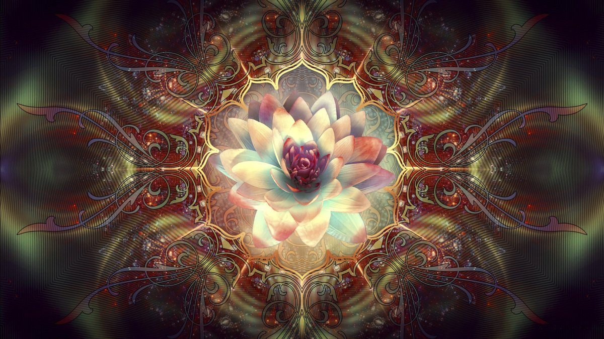 Фрактал цветок Мандала