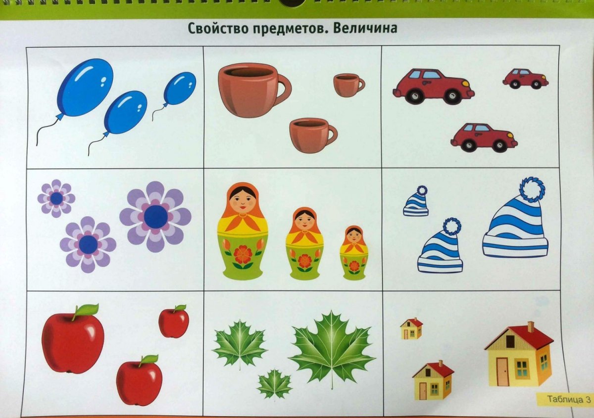 Сравнить предметы по величине