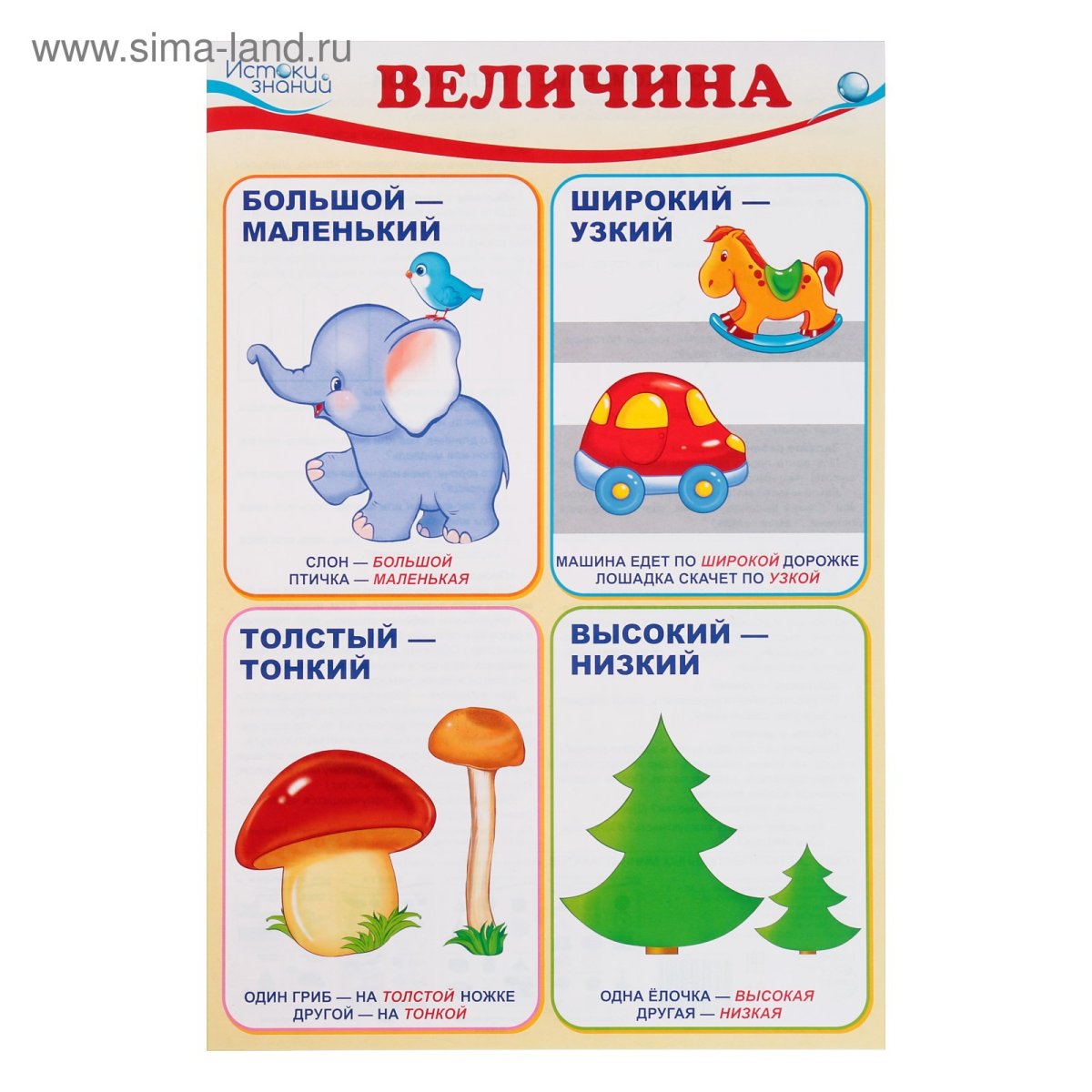 Величина предмета для дошкольников