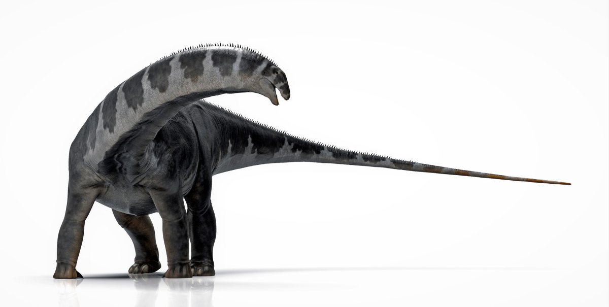 Бронтозавр 2022