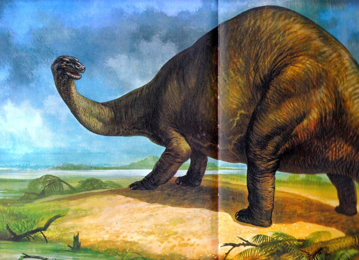Аламозавр и Бронтозавр