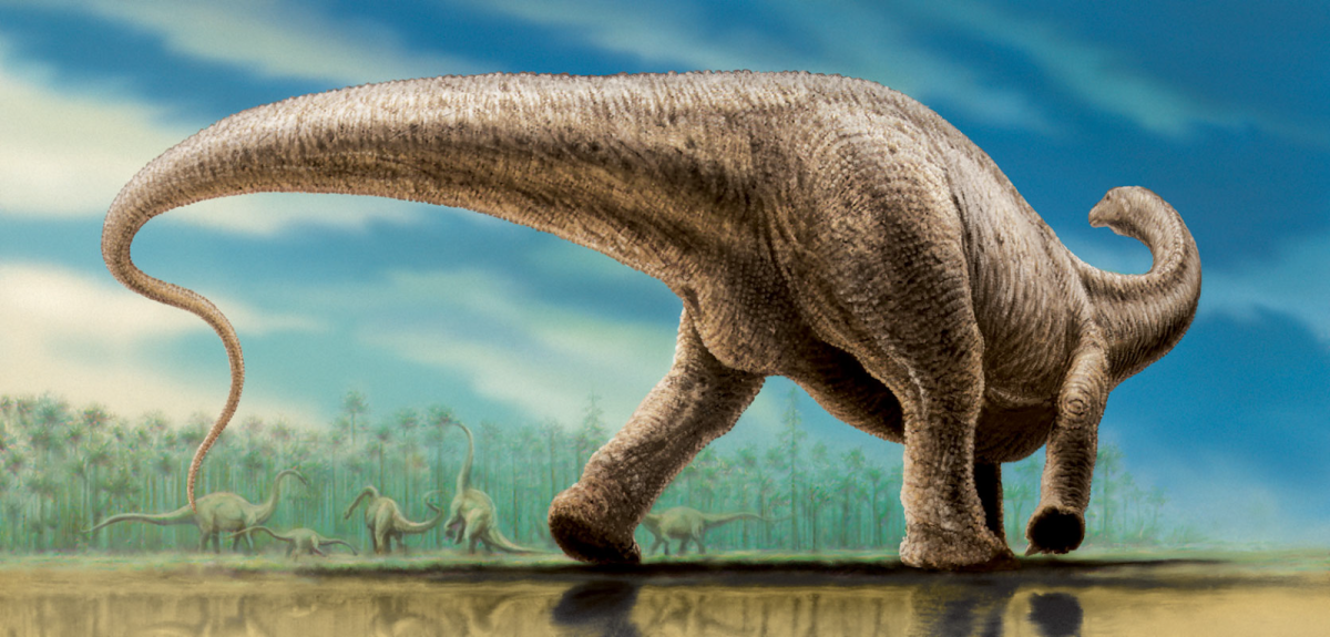 Маменчизавр Диплодок Апатозавр