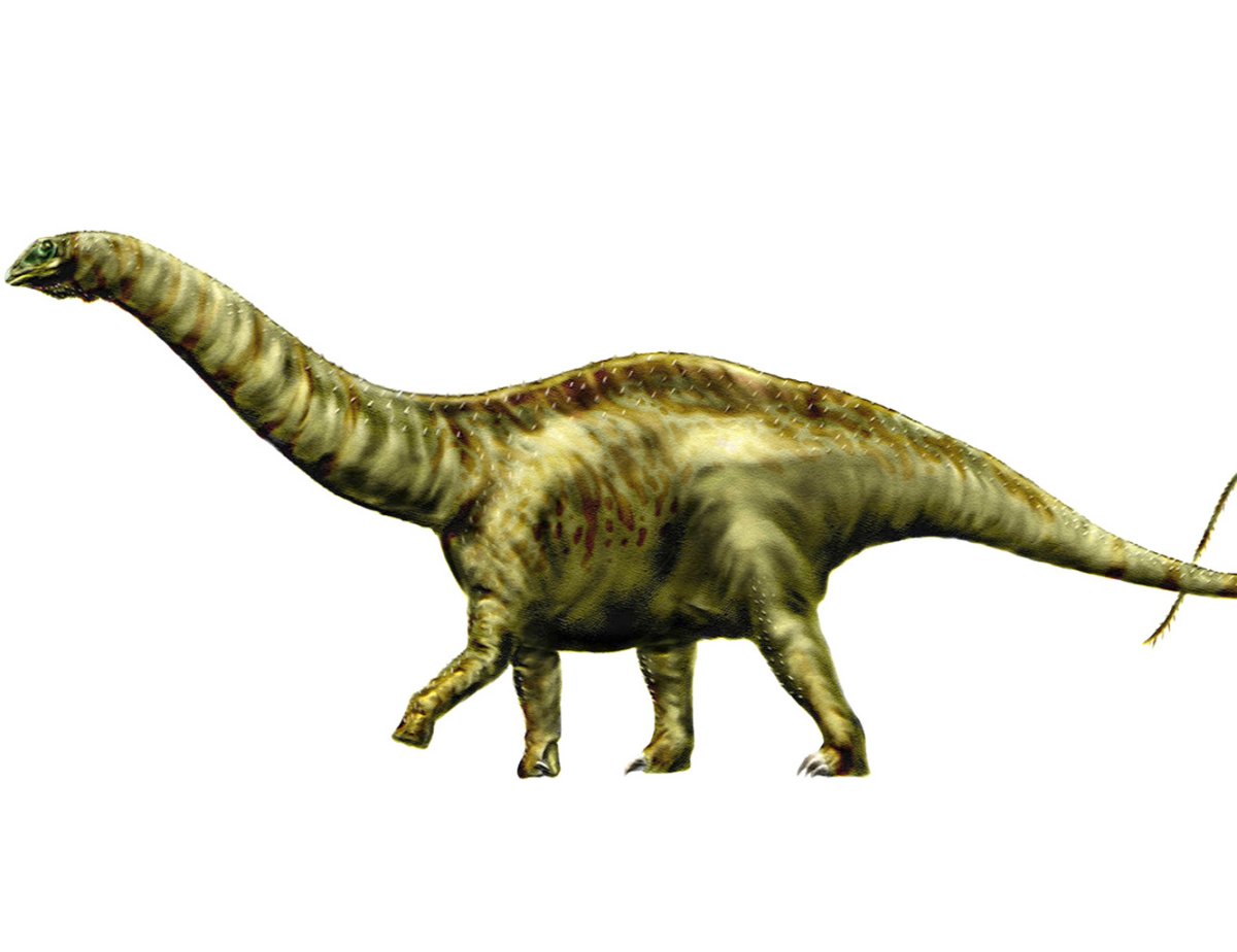 Скульптура бронтозавра