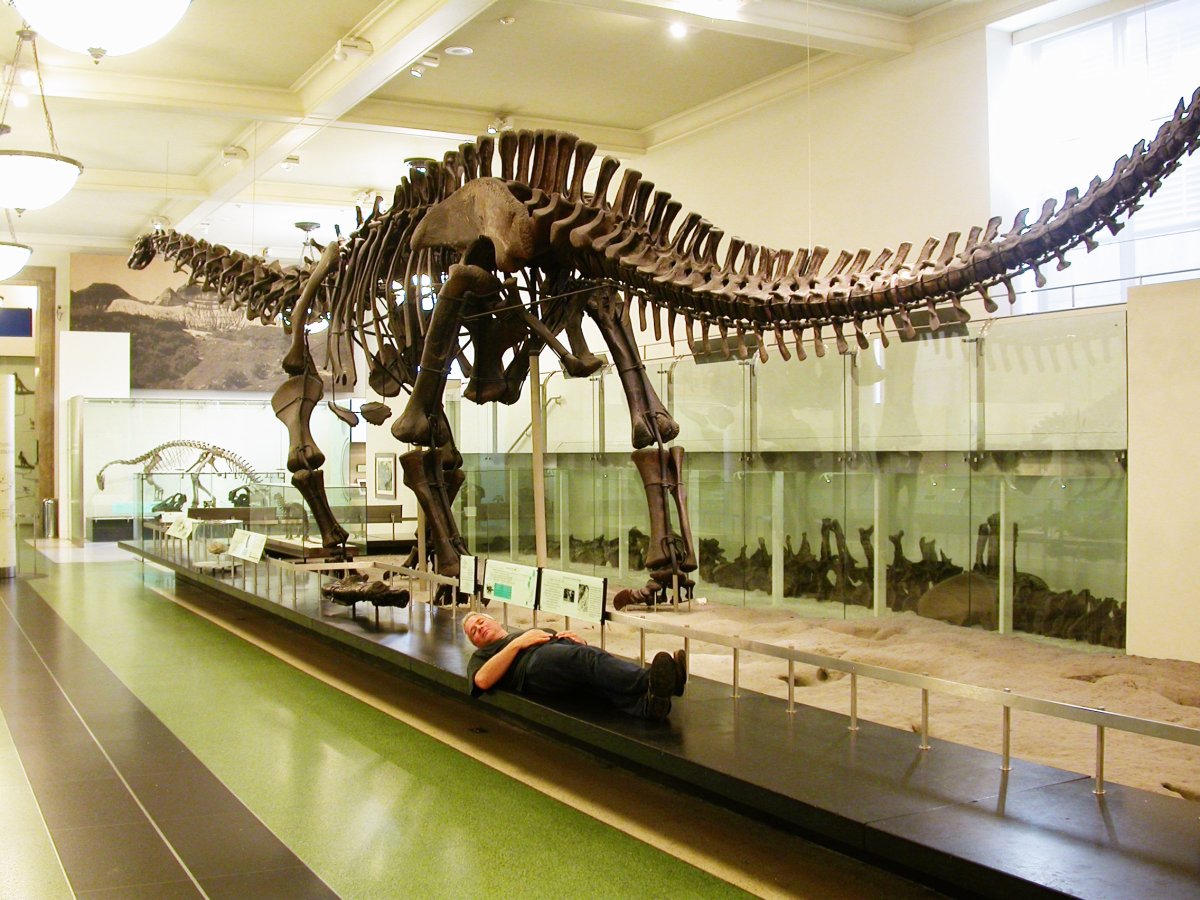 Травоядные динозавры