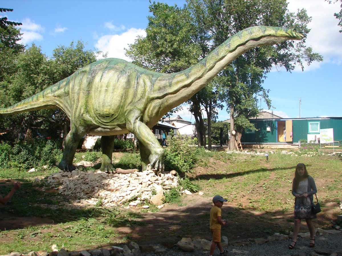 Бронтозавр палеонтология