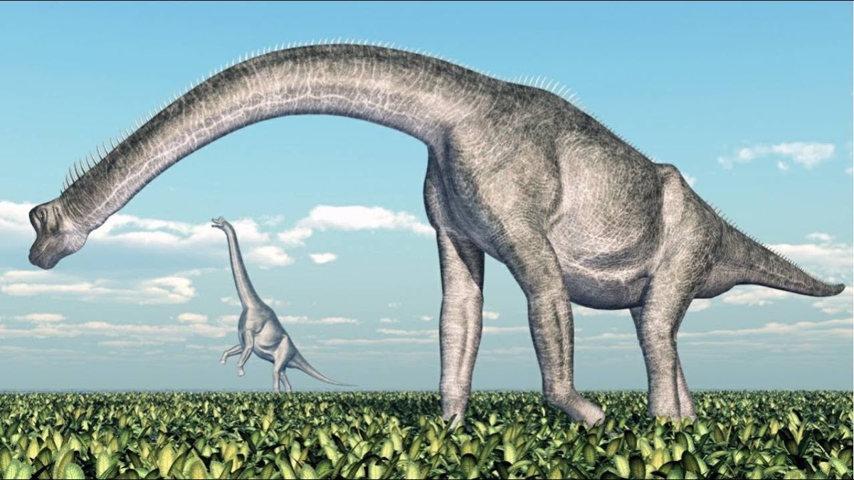 Roadside attractions Dinosaur inside