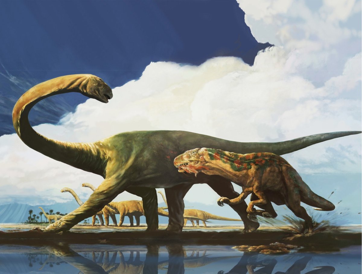 Брахиозавр по сравнению с человеком