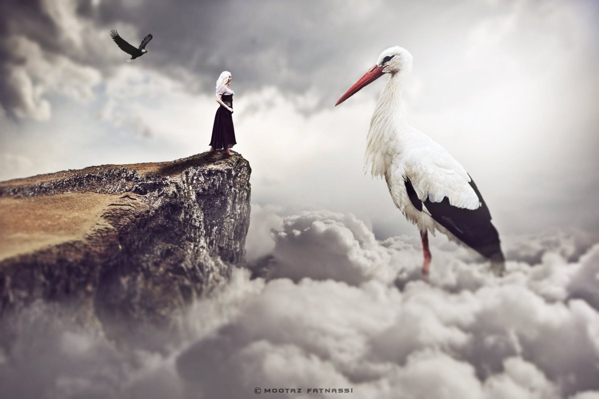 Аист и человек