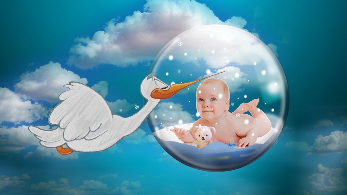 Рождение ребенка Аист