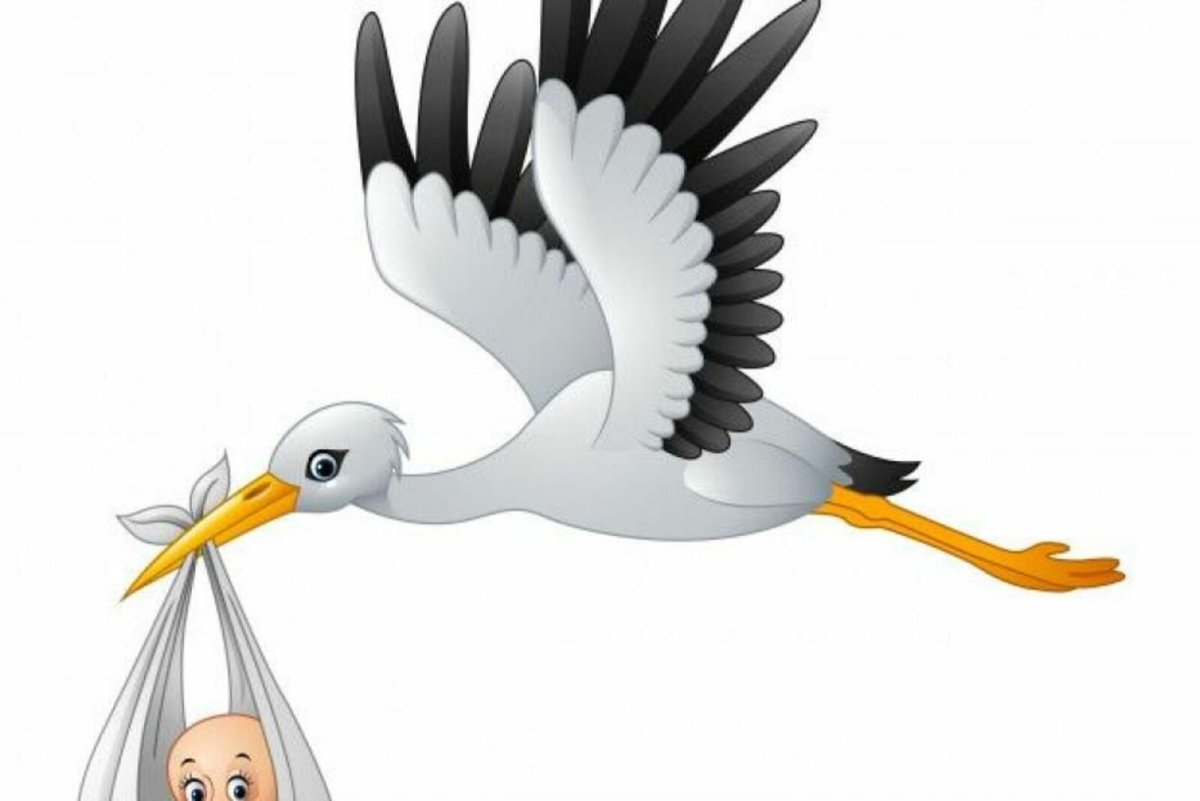 Аист с ребенком на белом фоне