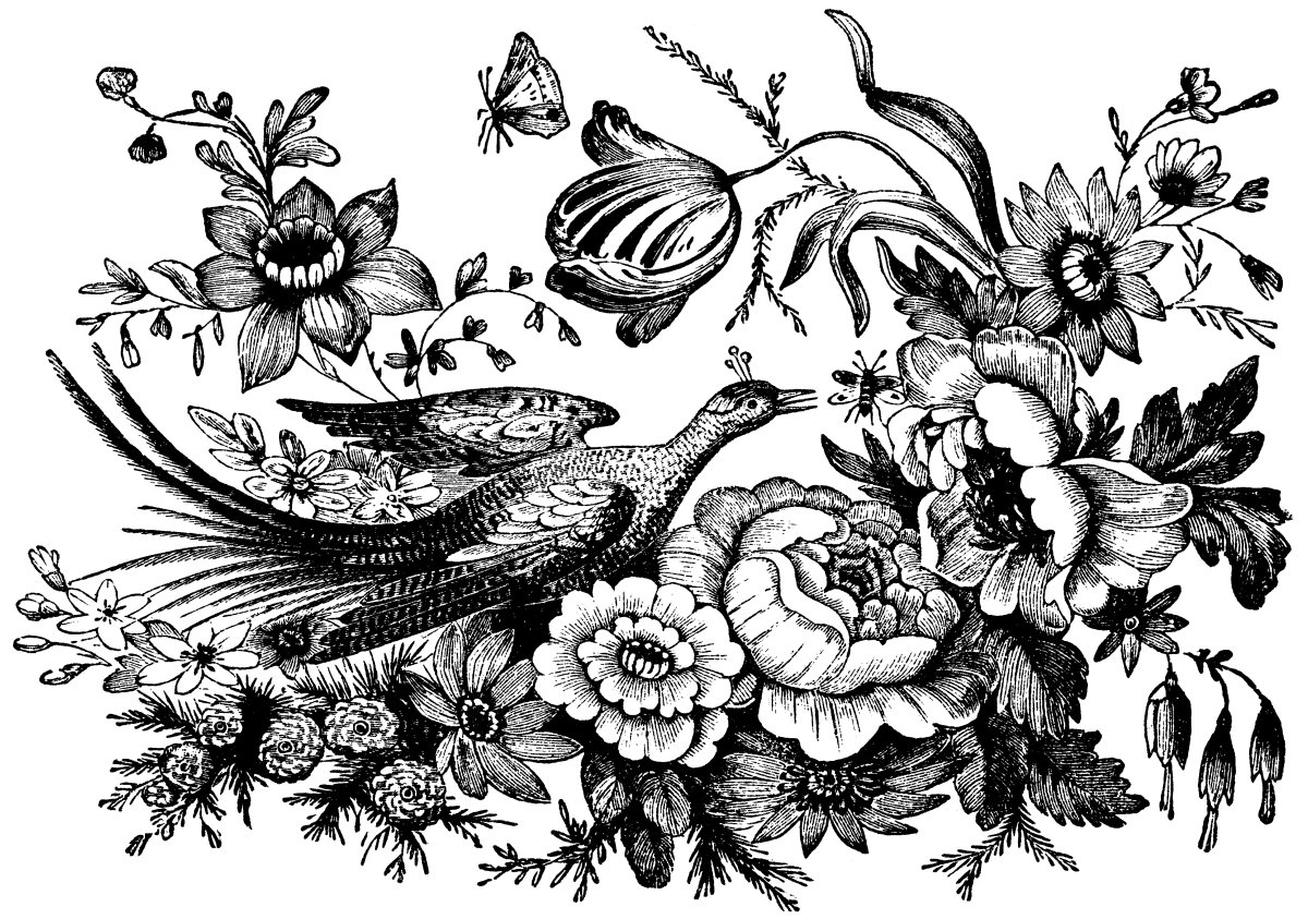 Узоры для выжигания