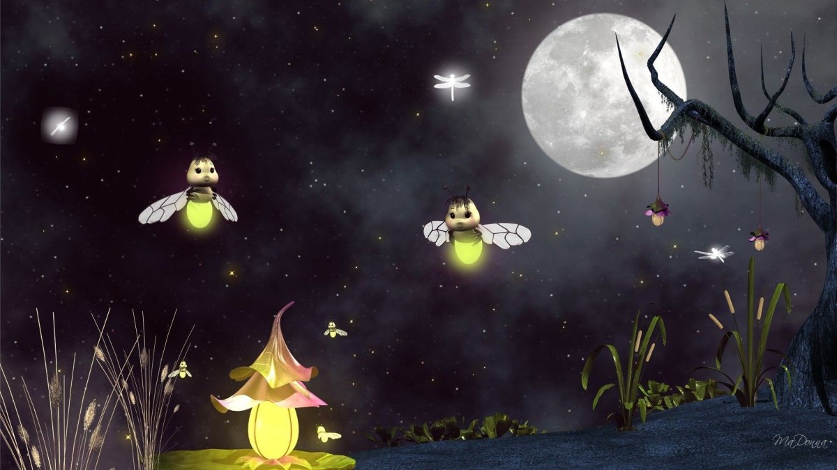 Сказочная ночь