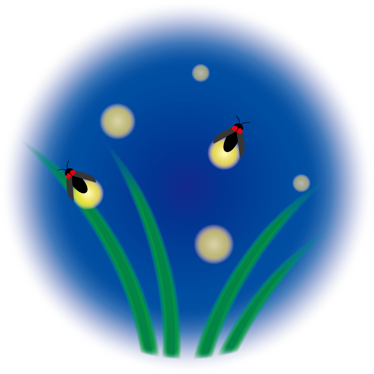 Светлячок в векторном направлении