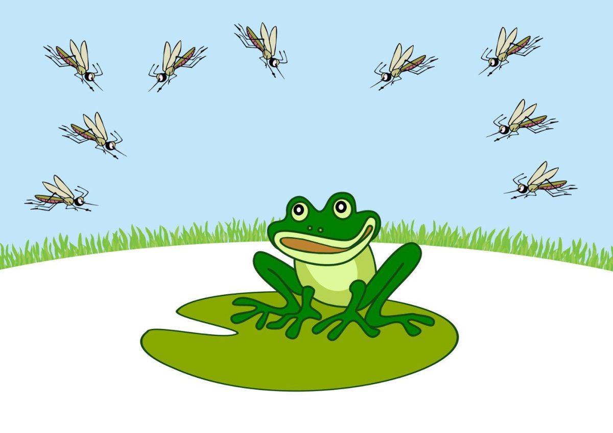 Лягушка путешественница иллюстрации