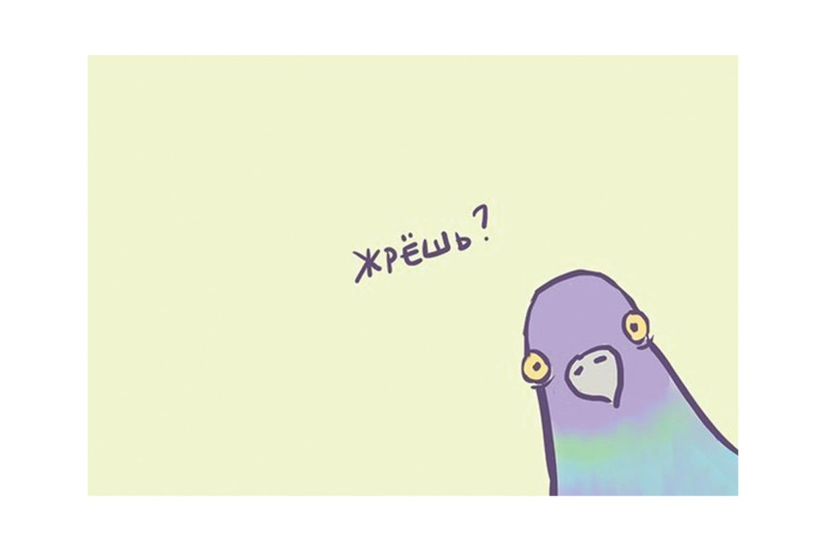 Голубь Мем жрешь