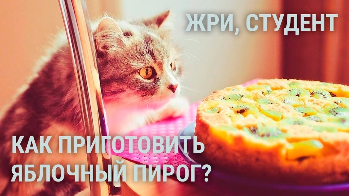 Алекс Солис милые хищники