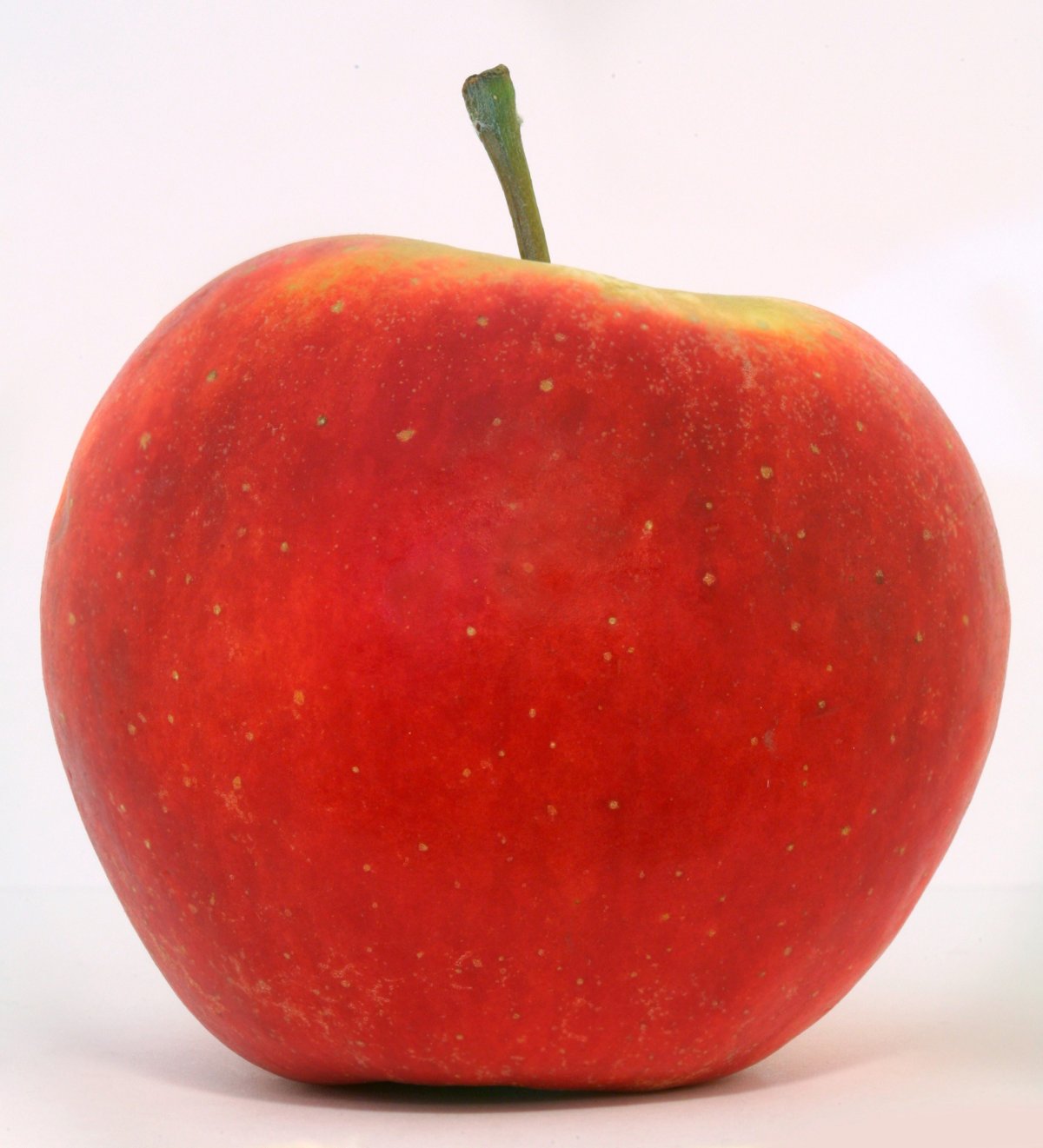 Овощи и фрукты по отдельности