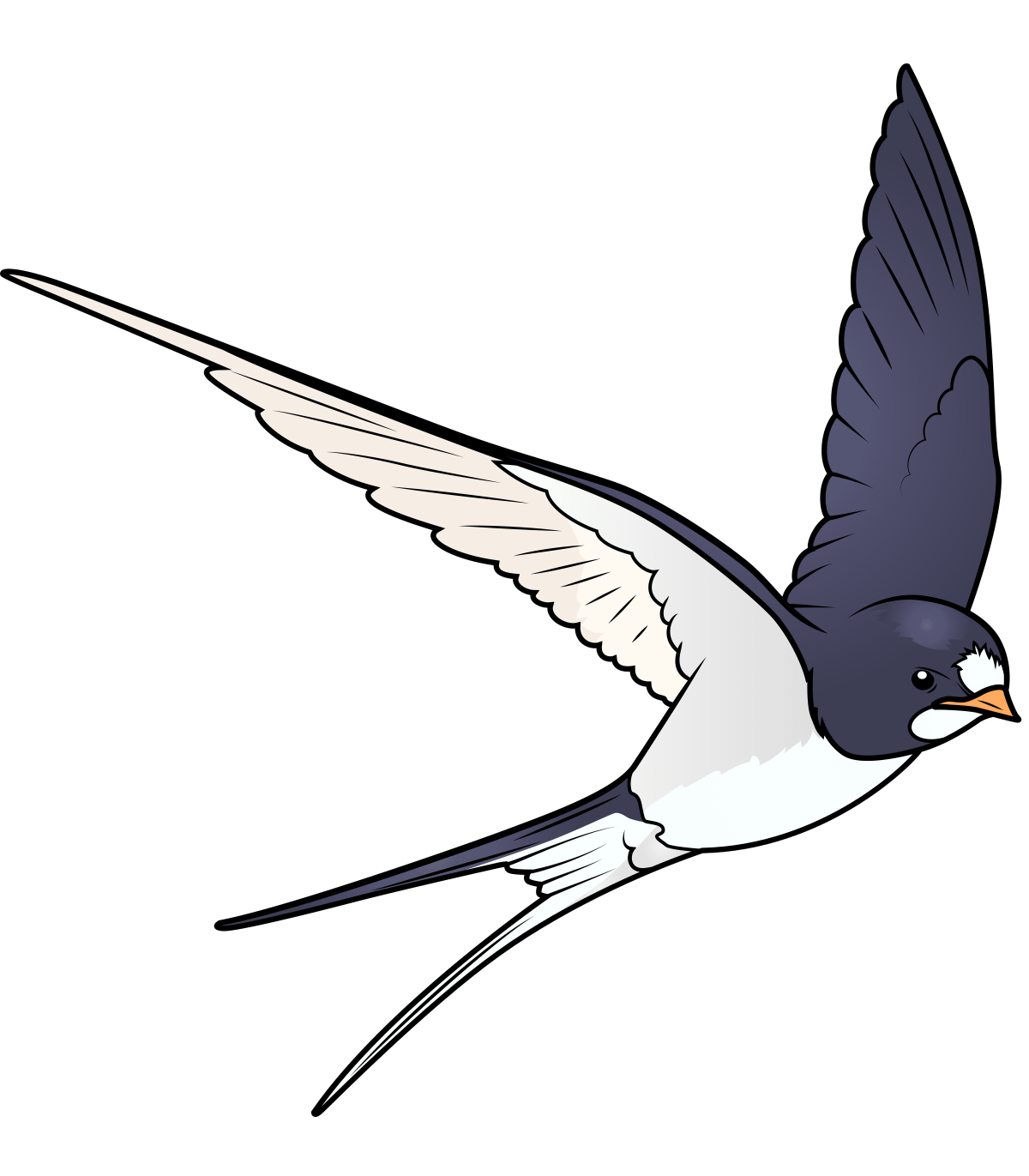 Перелетные птицы Ласточка для детей